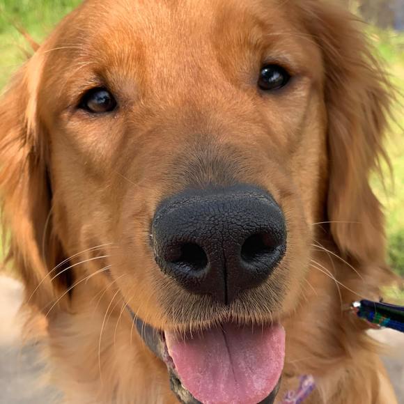 Meet your Posher, Jeni - Picture 1 of 1